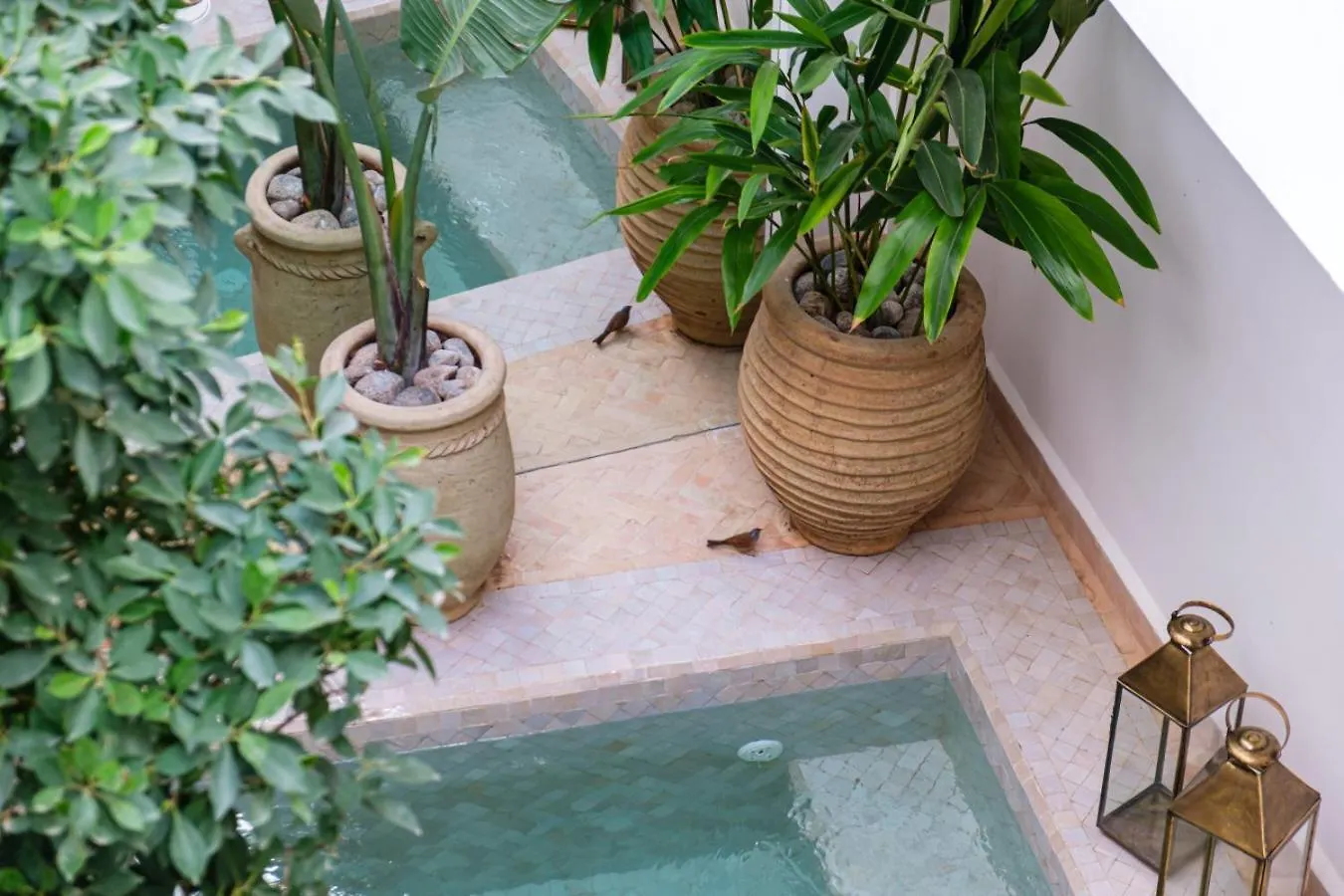 Riad Dar Jamila Breakfast 10Mn To Jamaa Al Fna Marrakesh 0*,